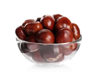 Horse chestnuts in bowl on white background Photo of Horse chestnuts in bowl on white background