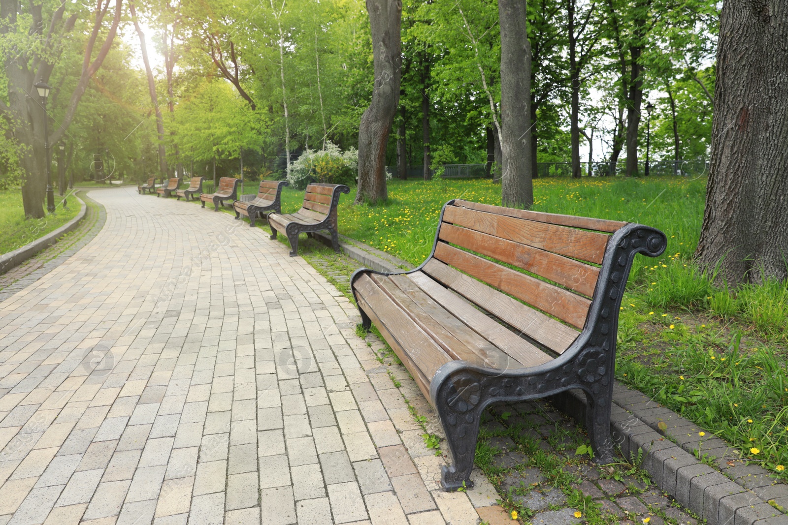 Beautiful view of city park with benches on spring day Photo of Beautiful view of city park with benches on spring day