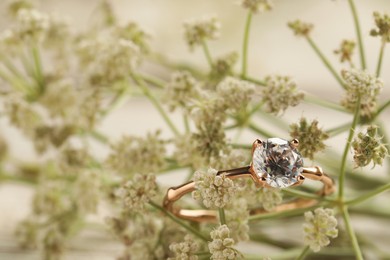 Beautiful engagement ring with gemstone and flowers, closeup Photo of Beautiful engagement ring with gemstone and flowers, closeup