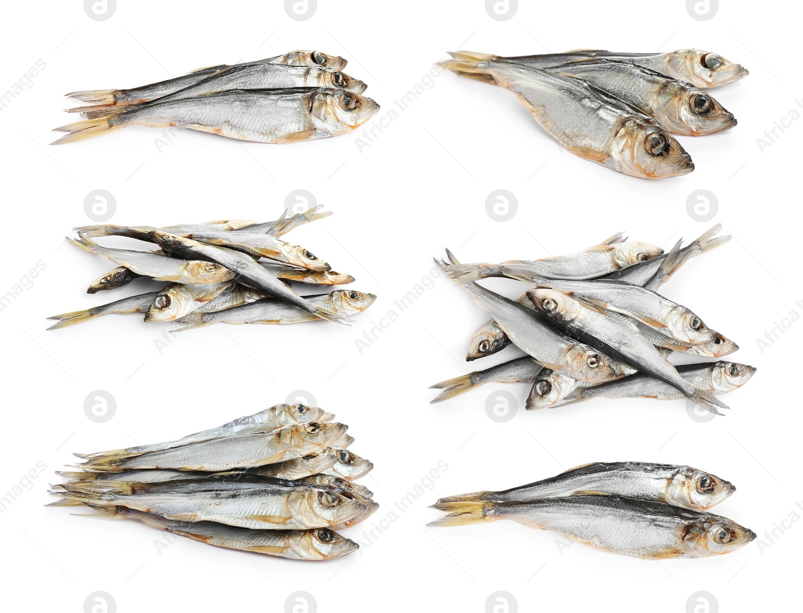 Set of tasty dry fish on white background Image of Set of tasty dry fish on white background