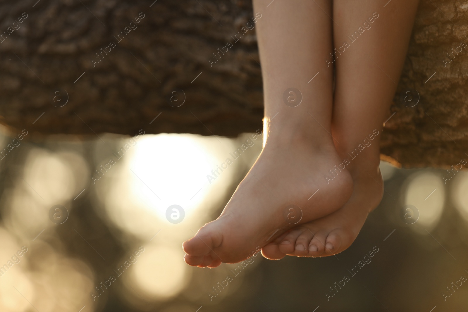 Little girl sitting on tree outdoors, closeup. Child spending time in nature Photo of Little girl sitting on tree outdoors, closeup. Child spending time in nature