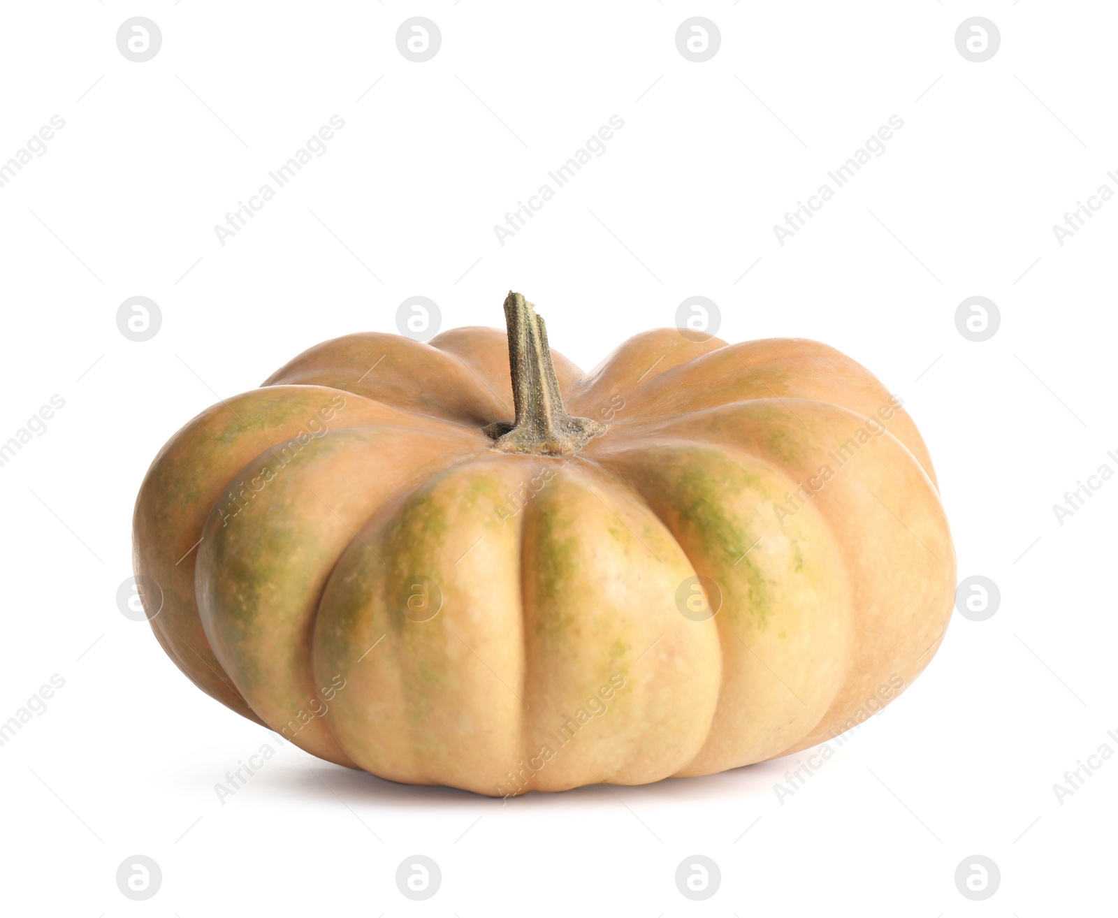 Photo of Fresh ripe pumpkin isolated on white background. Autumn season