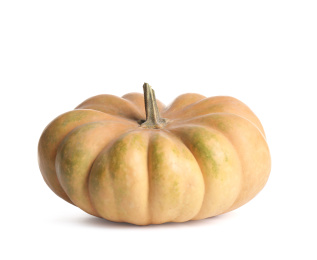 Photo of Fresh ripe pumpkin isolated on white background. Autumn season