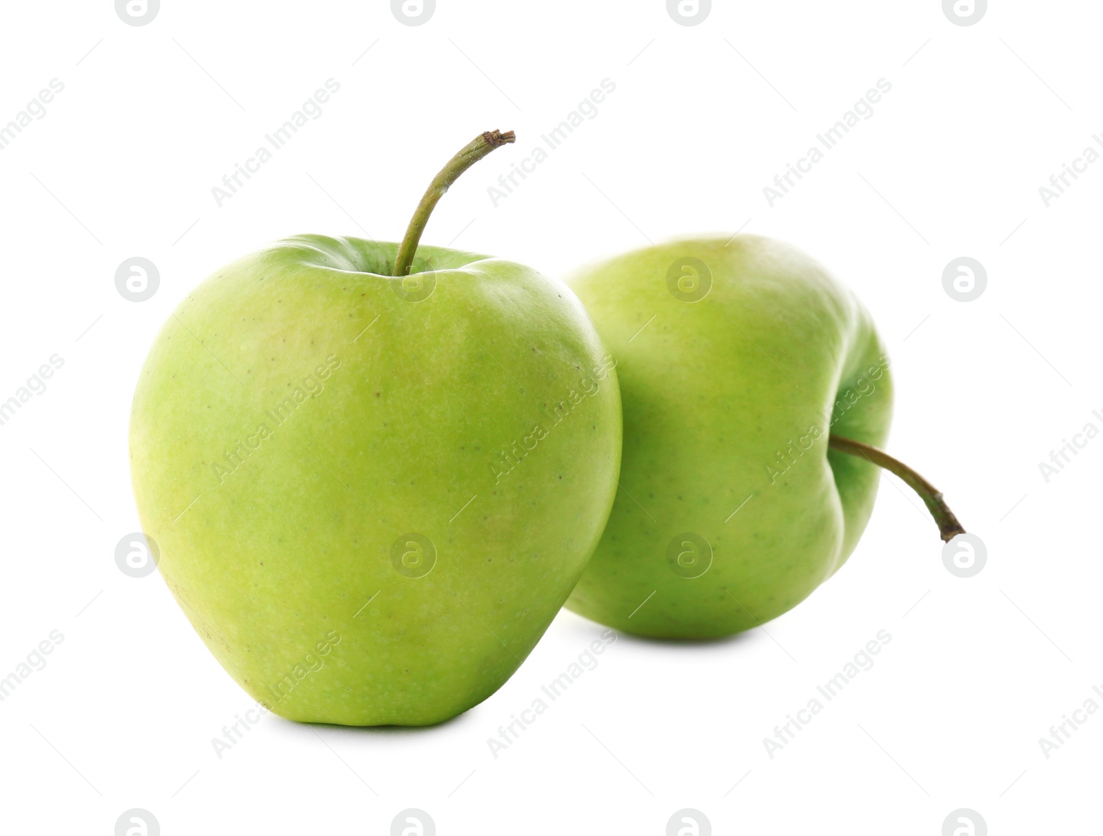 Fresh green apples on white background Photo of Fresh green apples on white background