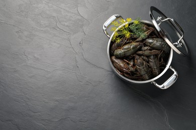 Photo of Fresh raw crayfishes with dill in pot on black table, top view. Space for text