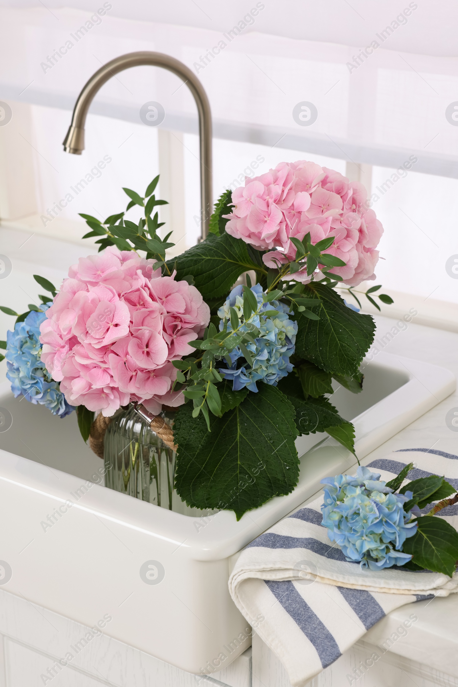 Vase with beautiful hortensia flowers in kitchen sink Photo of Vase with beautiful hortensia flowers in kitchen sink