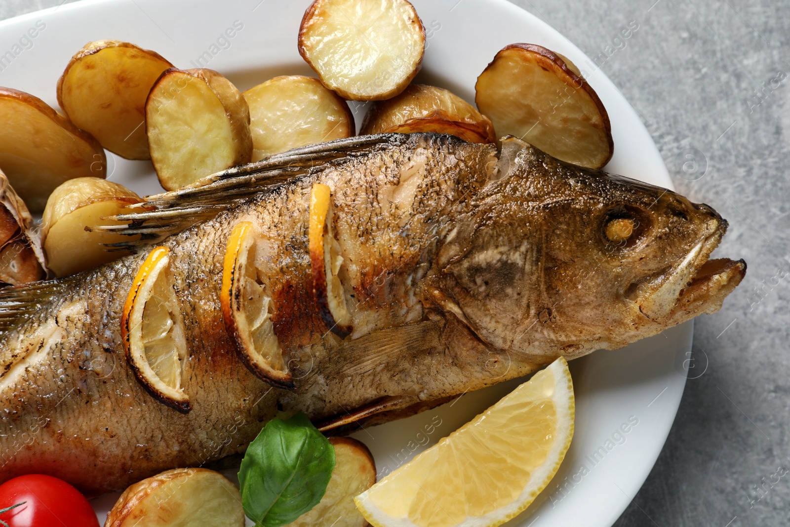 Tasty homemade roasted perch with garnish on grey table, closeup. River fish Photo of Tasty homemade roasted perch with garnish on grey table, closeup. River fish