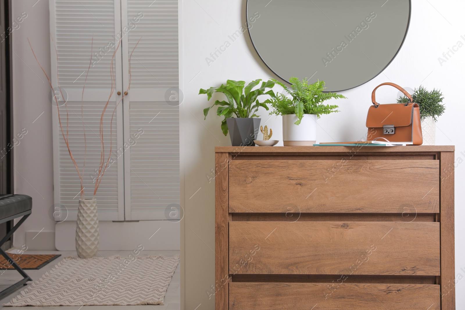 Beautiful potted ferns and accessories on wooden cabinet in hallway. Space for text Photo of Beautiful potted ferns and accessories on wooden cabinet in hallway. Space for text