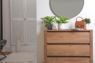 Beautiful potted ferns and accessories on wooden cabinet in hallway. Space for text Photo of Beautiful potted ferns and accessories on wooden cabinet in hallway. Space for text