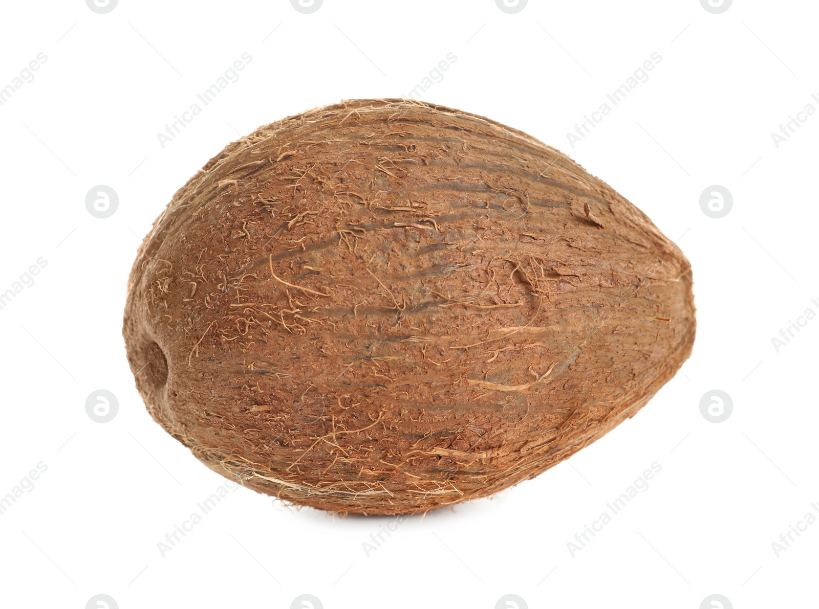 Ripe whole coconut on white background Photo of Ripe whole coconut on white background