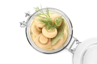 Jar with marinated mushrooms and dill isolated on white, top view Photo of Jar with marinated mushrooms and dill isolated on white, top view