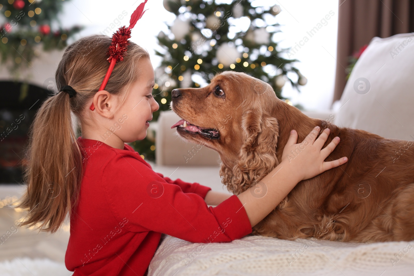 Photo of Cute little girl with English Cocker Spaniel in room decorated for Christmas