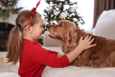 Cute little girl with English Cocker Spaniel in room decorated for Christmas Photo of Cute little girl with English Cocker Spaniel in room decorated for Christmas