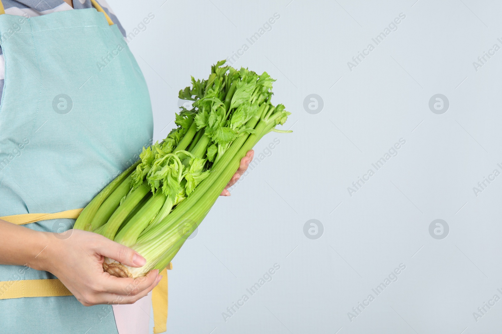Woman holding fresh green celery on light background, closeup. Space for text Photo of Woman holding fresh green celery on light background, closeup. Space for text