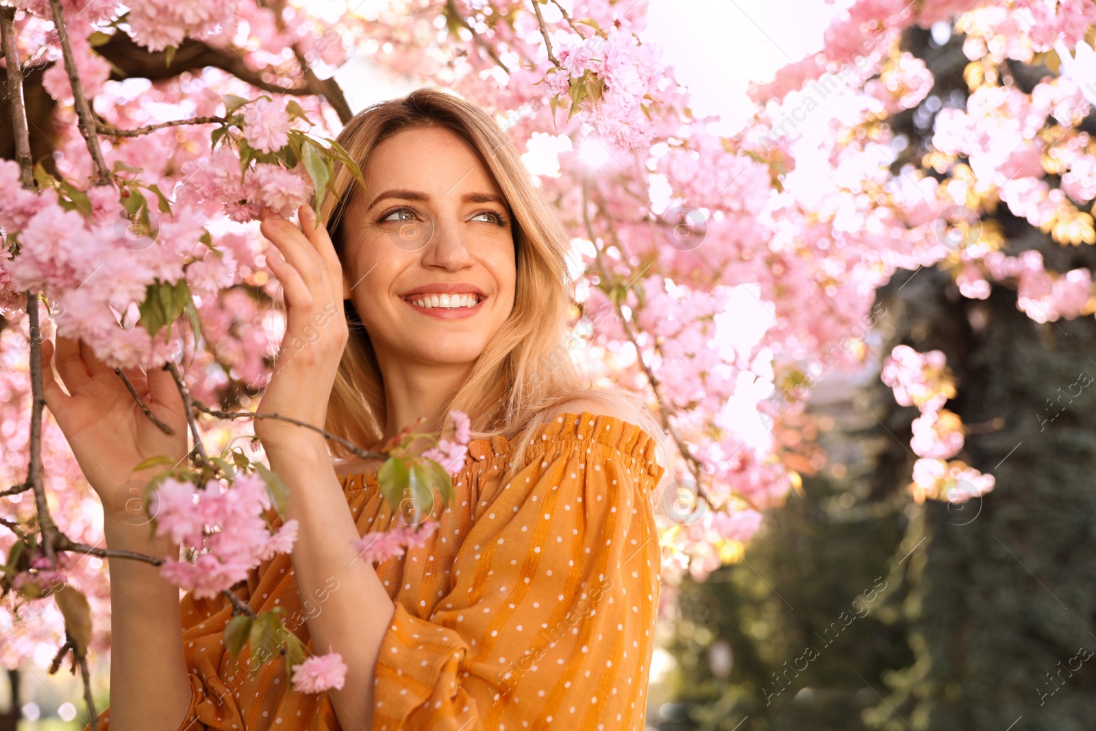 Young woman wearing stylish outfit near blossoming sakura in park. Fashionable spring look Photo of Young woman wearing stylish outfit near blossoming sakura in park. Fashionable spring look