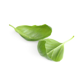 Fresh green basil leaves isolated on white Photo of Fresh green basil leaves isolated on white