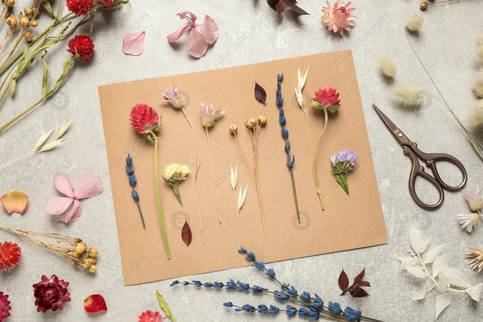 Flat lay composition with beautiful fresh and dry flowers on light grey background Photo of Flat lay composition with beautiful fresh and dry flowers on light grey background
