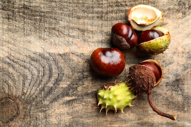 Horse chestnuts on wooden table, flat lay. Space for text Photo of Horse chestnuts on wooden table, flat lay. Space for text