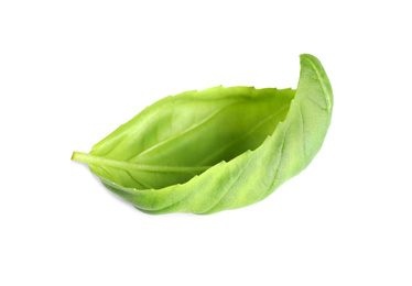 Photo of Fresh green basil leaf isolated on white