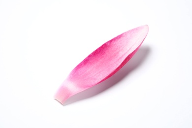 Photo of Beautiful pink lotus flower petal isolated on white
