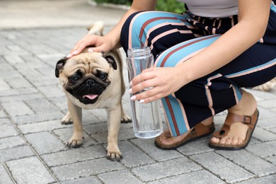 Owner helping her pug dog on street in hot day, closeup. Heat stroke prevention Photo of Owner helping her pug dog on street in hot day, closeup. Heat stroke prevention