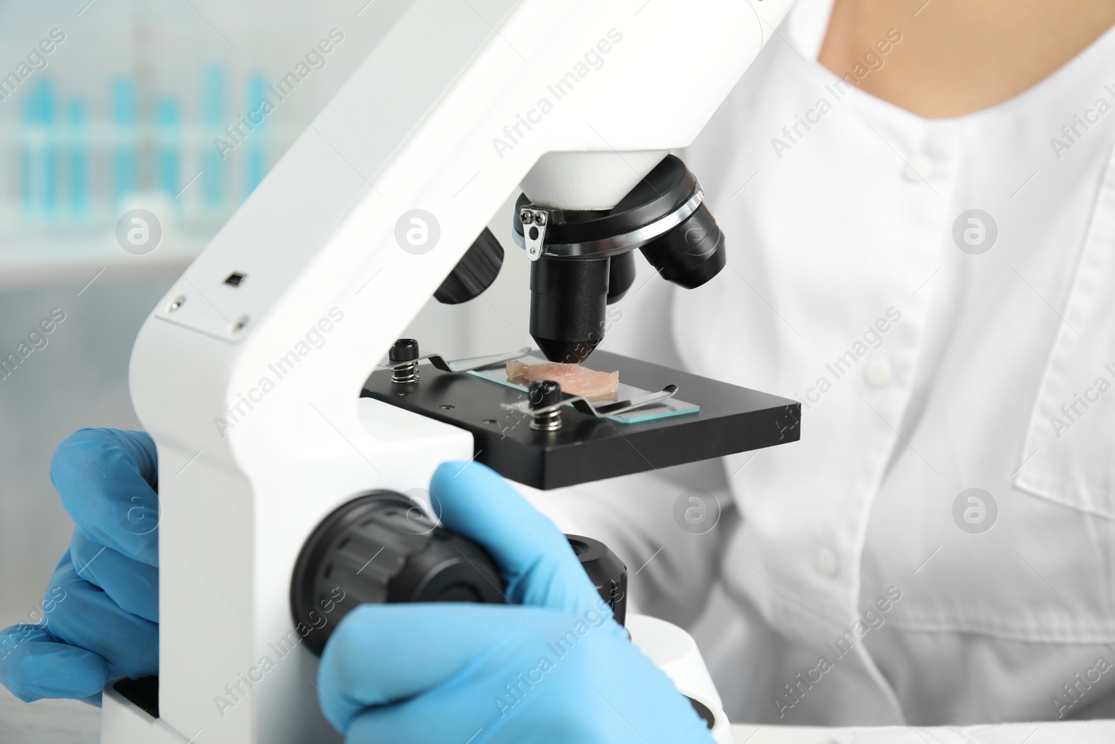 Scientist inspecting meat sample with microscope in laboratory, closeup. Poison detection Photo of Scientist inspecting meat sample with microscope in laboratory, closeup. Poison detection