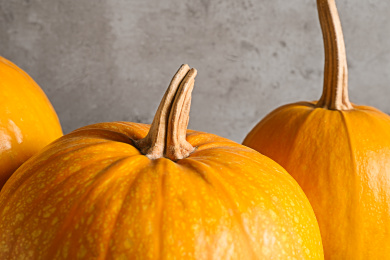 Ripe pumpkins on grey background, closeup view Photo of Ripe pumpkins on grey background, closeup view