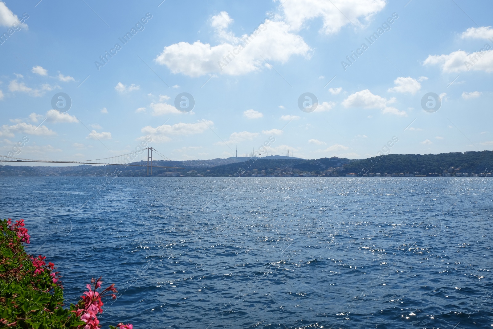 Beautiful view of sea and blue sky on sunny day Photo of Beautiful view of sea and blue sky on sunny day