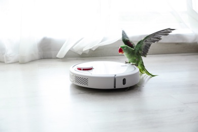 Photo of Modern robotic vacuum cleaner and Alexandrine parakeet on floor indoors