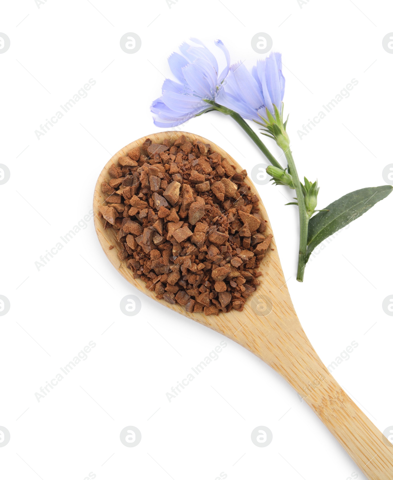 Spoon of chicory granules and flowers on white background, top view Photo of Spoon of chicory granules and flowers on white background, top view