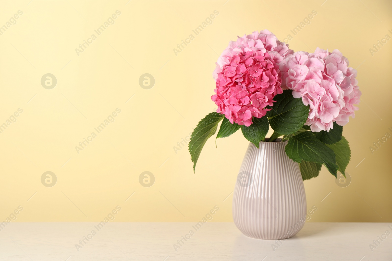 Bouquet with beautiful hortensia flowers on white wooden table against yellow background. Space for text Photo of Bouquet with beautiful hortensia flowers on white wooden table against yellow background. Space for text