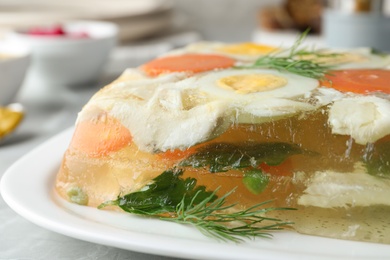 Delicious fish aspic with dill on plate, closeup Photo of Delicious fish aspic with dill on plate, closeup