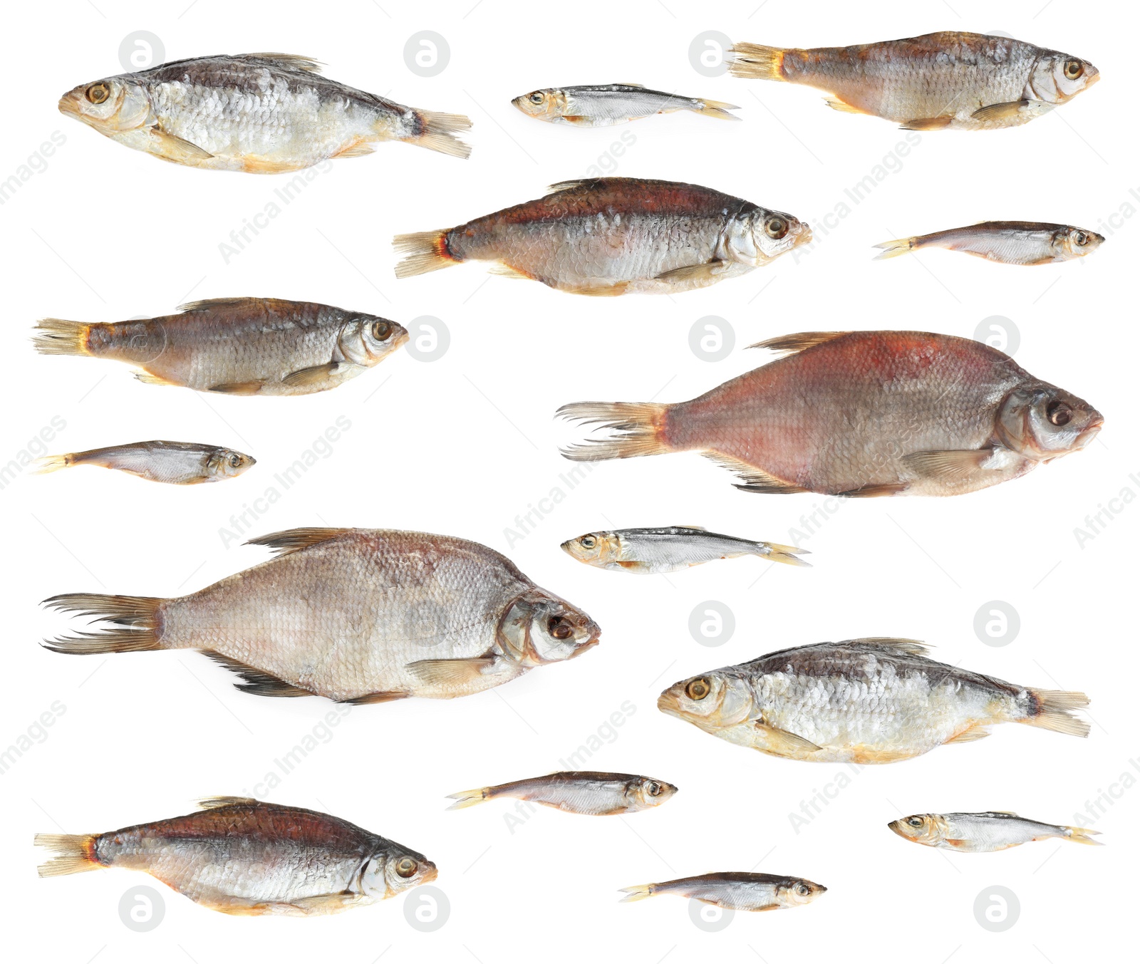 Image of Set of tasty dry fish on white background