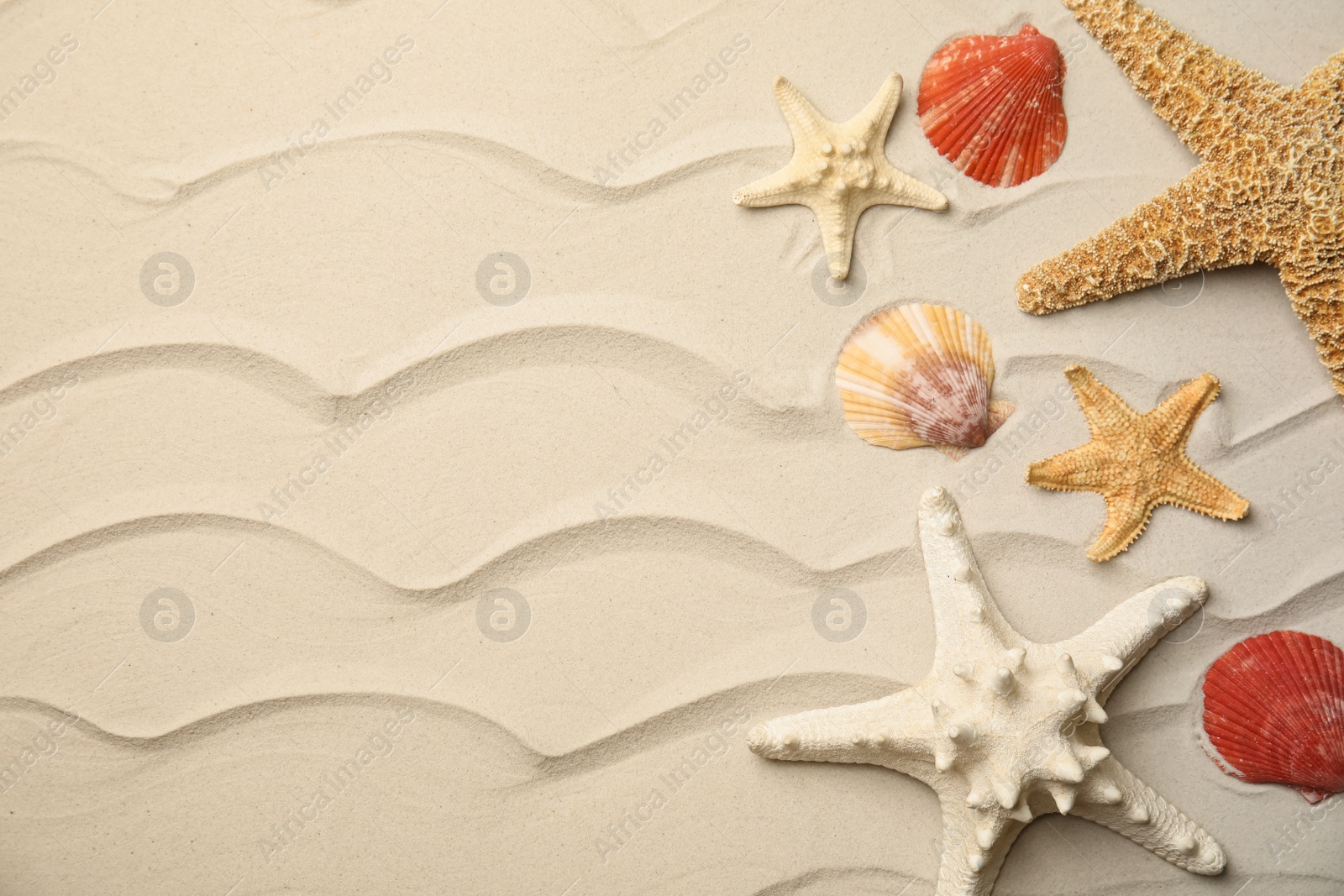 Beautiful sea stars and shells on sand, flat lay. Space for text Photo of Beautiful sea stars and shells on sand, flat lay. Space for text