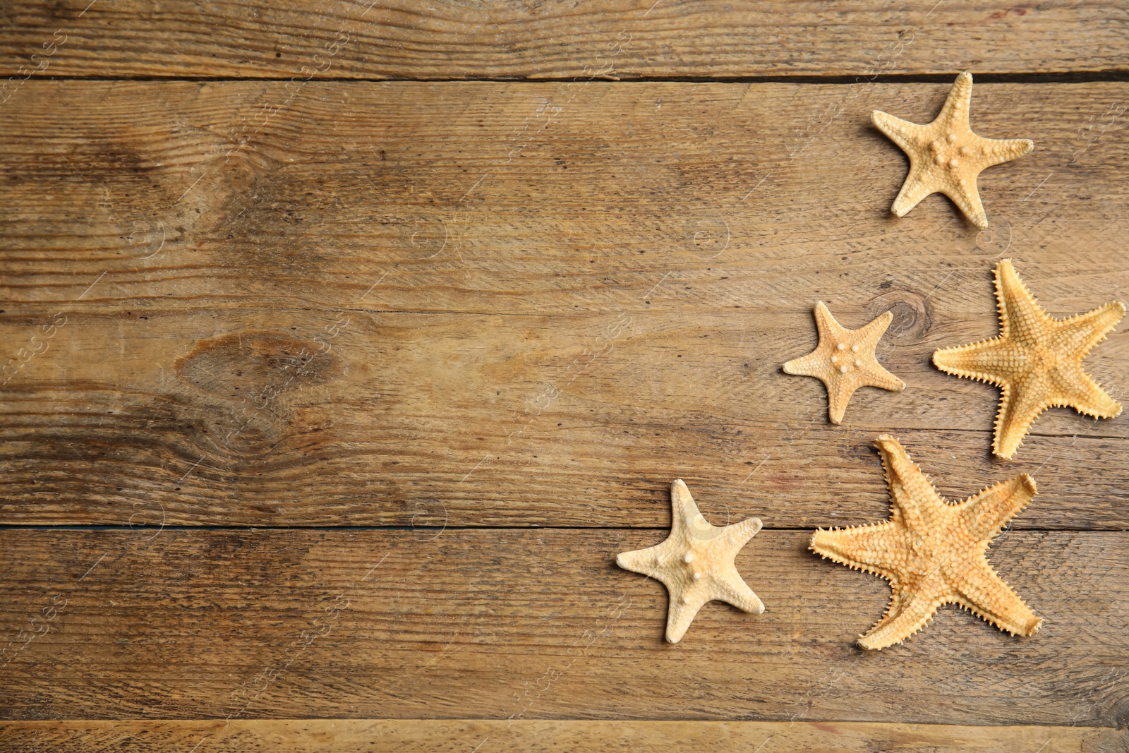 Photo of Beautiful sea stars on wooden background, flat lay. Space for text
