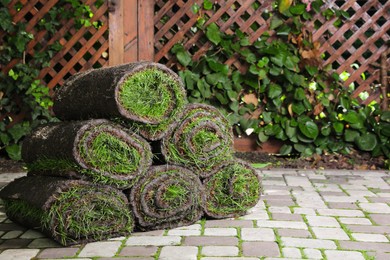 Rolls of sod with grass on backyard, space for text Photo of Rolls of sod with grass on backyard, space for text