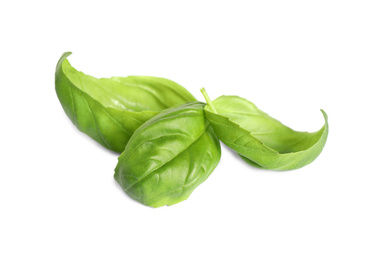 Fresh green basil leaves isolated on white Photo of Fresh green basil leaves isolated on white
