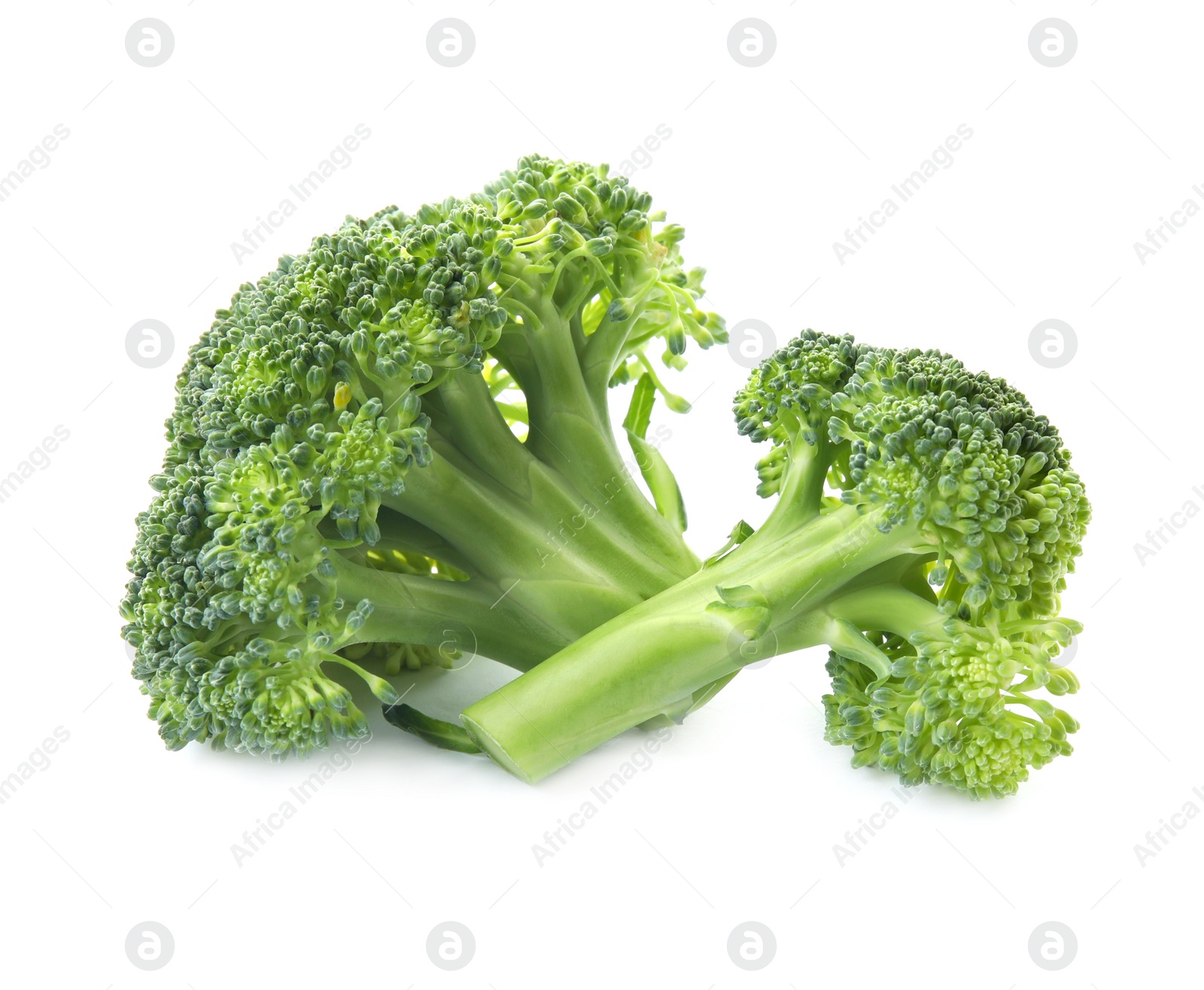 Photo of Fresh broccoli isolated on white. Edible green plant