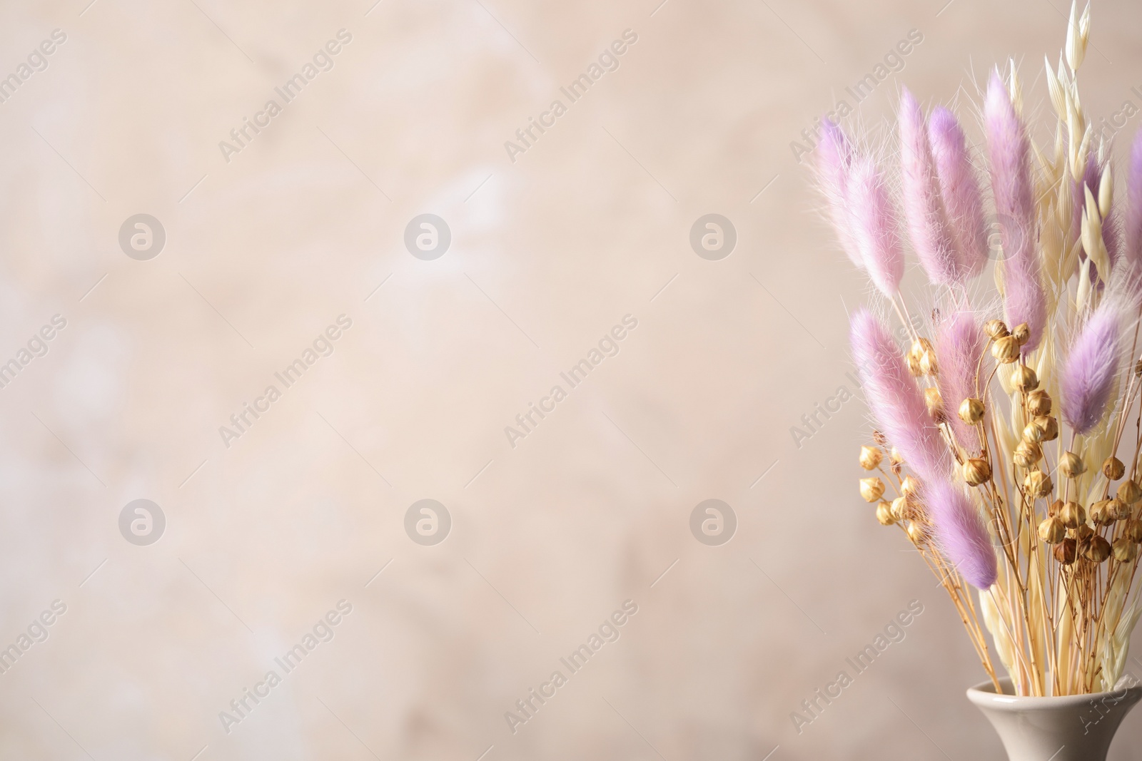 Dried flowers in vase against light grey background. Space for text Photo of Dried flowers in vase against light grey background. Space for text
