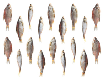 Set of tasty dry fish on white background Image of Set of tasty dry fish on white background