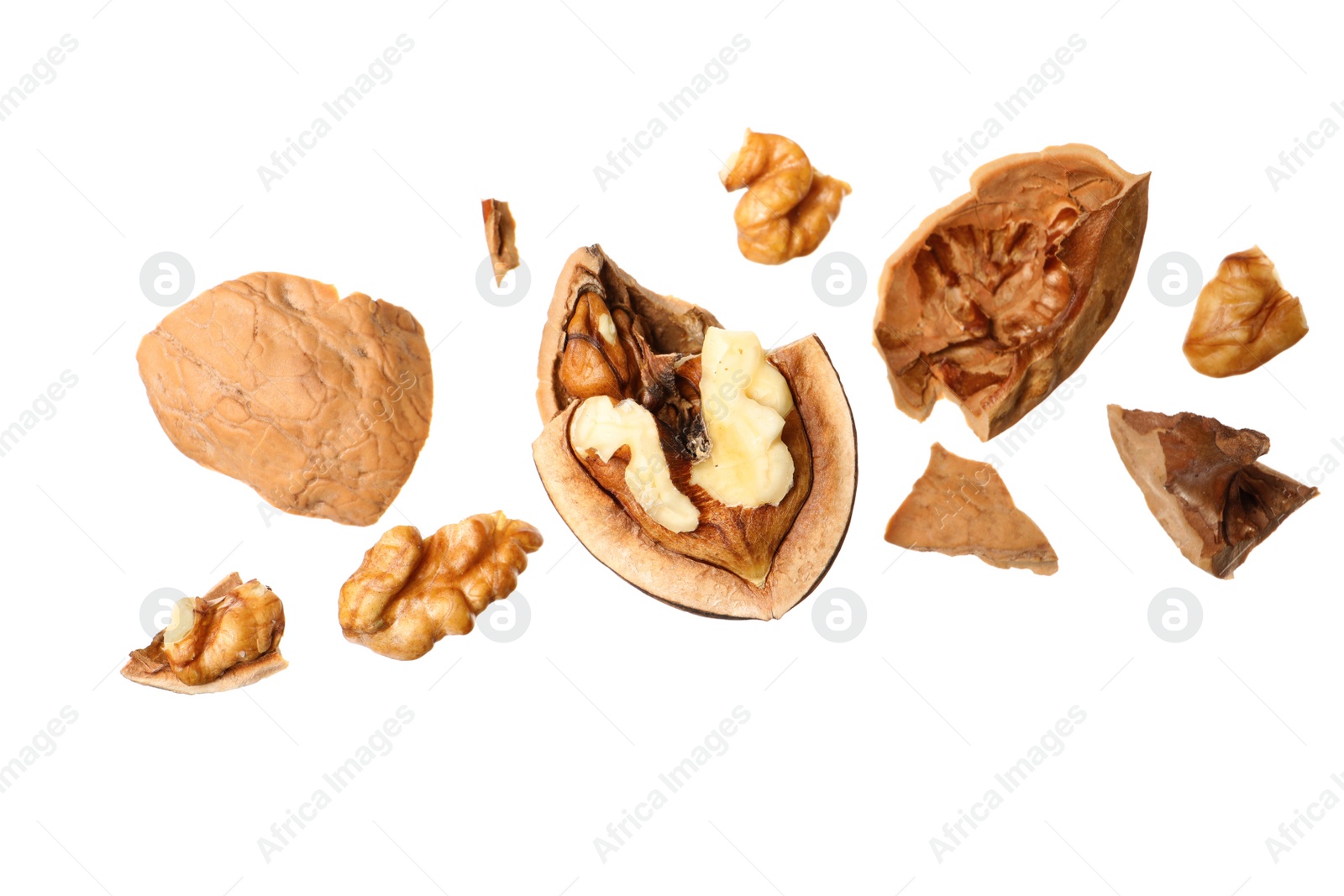 Pieces of walnut and shell falling on white background Photo of Pieces of walnut and shell falling on white background