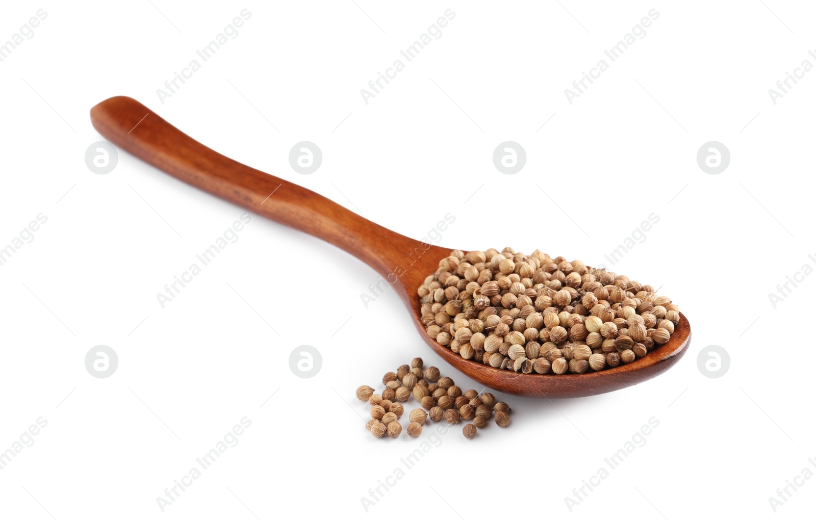 Dried coriander seeds with wooden spoon on white background Photo of Dried coriander seeds with wooden spoon on white background