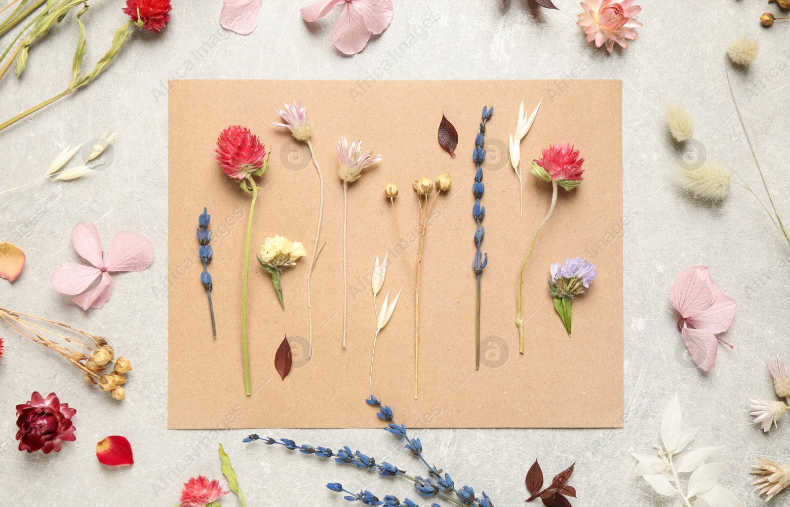 Flat lay composition with beautiful fresh and dry flowers on light grey background Photo of Flat lay composition with beautiful fresh and dry flowers on light grey background