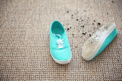 Pair of shoes with mud on carpet Photo of Pair of shoes with mud on carpet