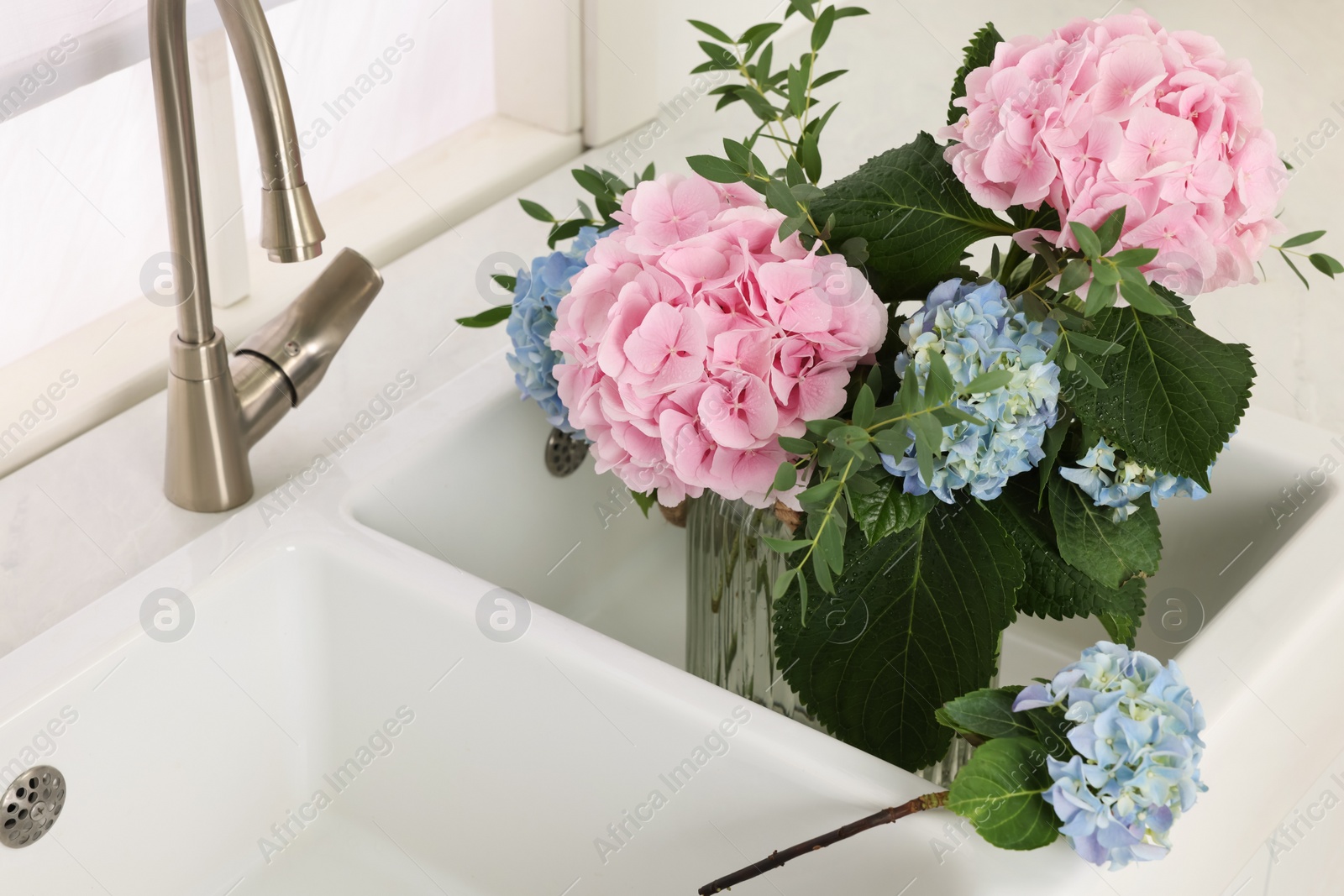 Vase with beautiful hortensia flowers in kitchen sink Photo of Vase with beautiful hortensia flowers in kitchen sink