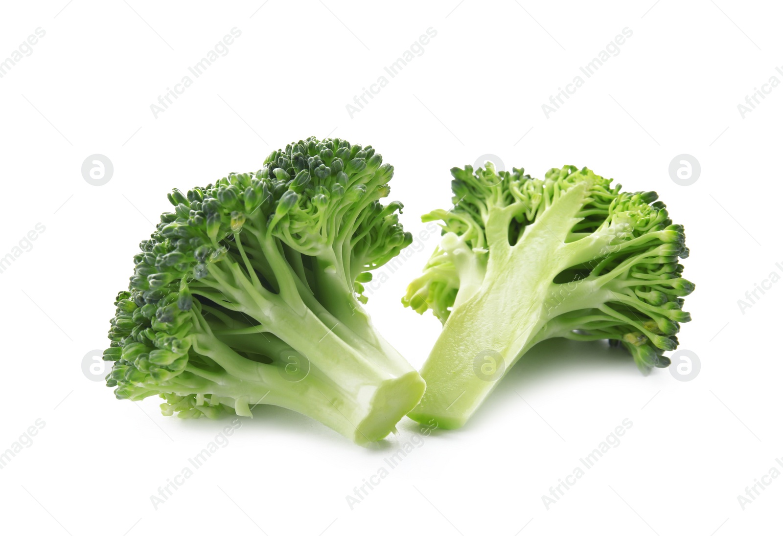 Fresh broccoli isolated on white. Edible green plant Photo of Fresh broccoli isolated on white. Edible green plant