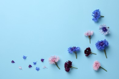 Beautiful colorful cornflowers on light blue background, flat lay. Space for text Photo of Beautiful colorful cornflowers on light blue background, flat lay. Space for text