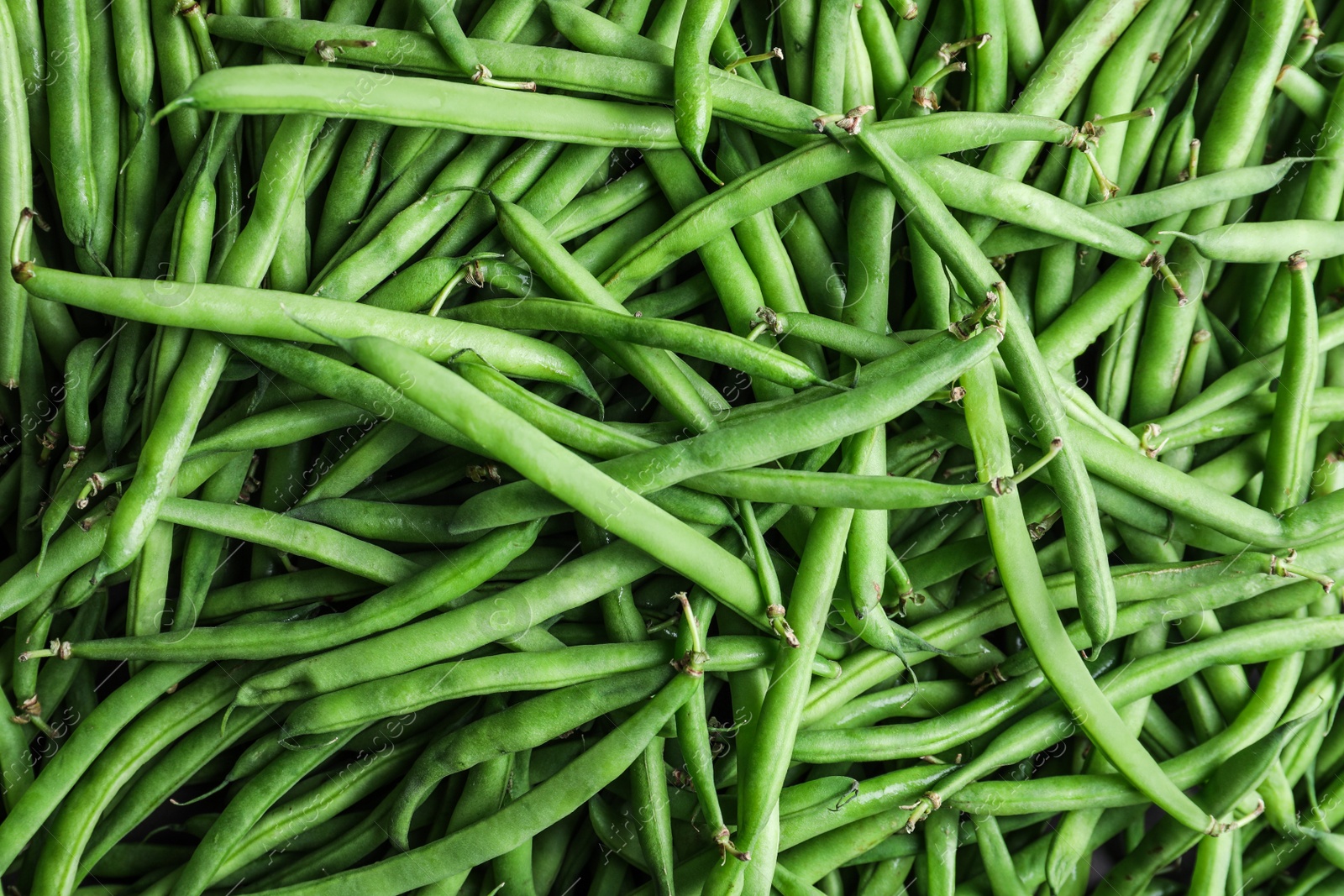 Fresh green beans as background, top view Photo of Fresh green beans as background, top view