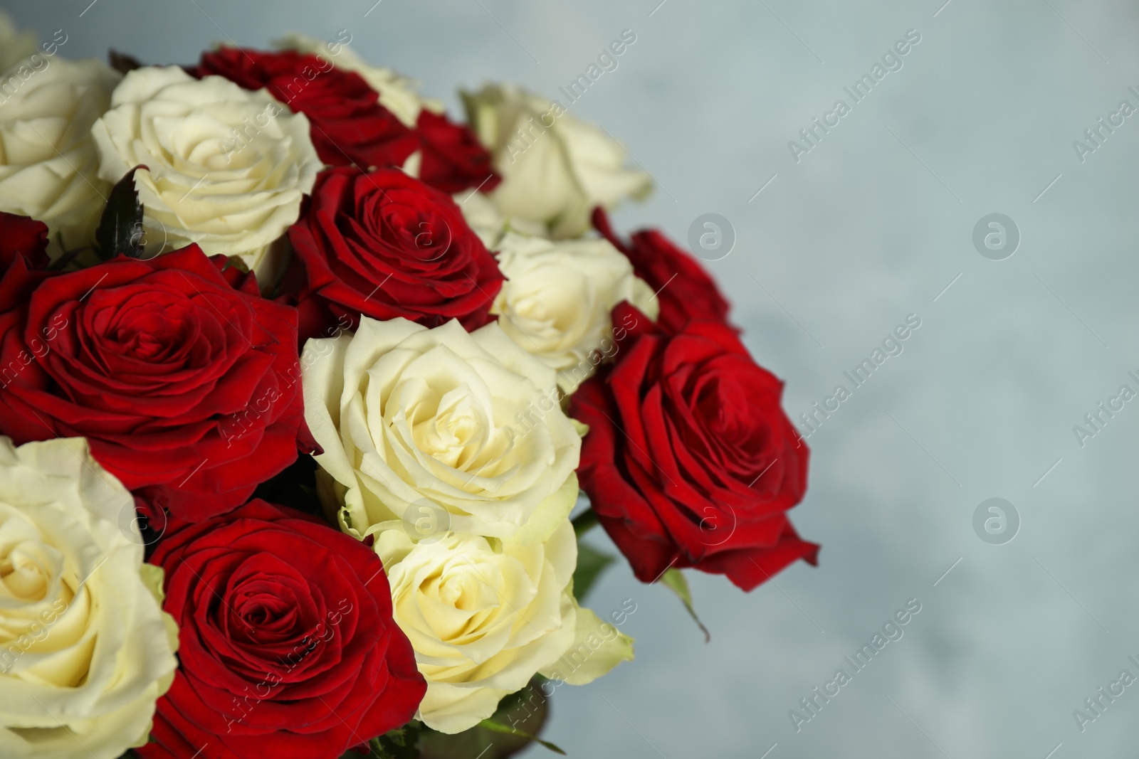 Luxury bouquet of fresh roses on light blue background, closeup Photo of Luxury bouquet of fresh roses on light blue background, closeup