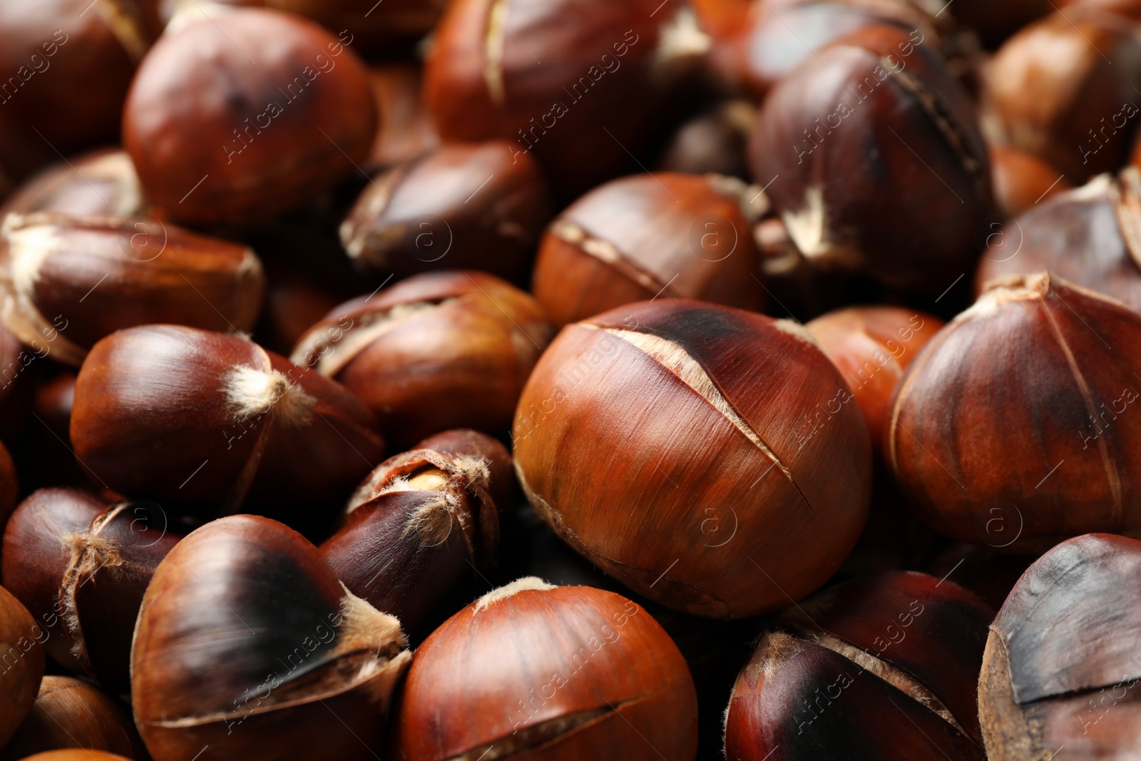 Pile of delicious edible roasted chestnuts as background, closeup Photo of Pile of delicious edible roasted chestnuts as background, closeup